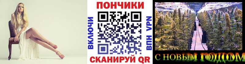 Каннабис индика  Вихоревка 